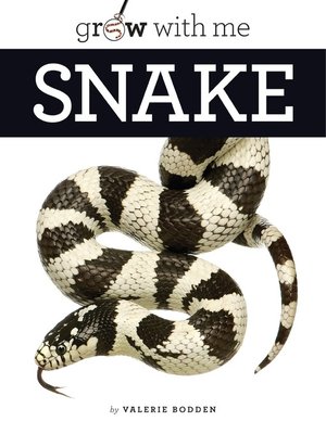 cover image of Snake